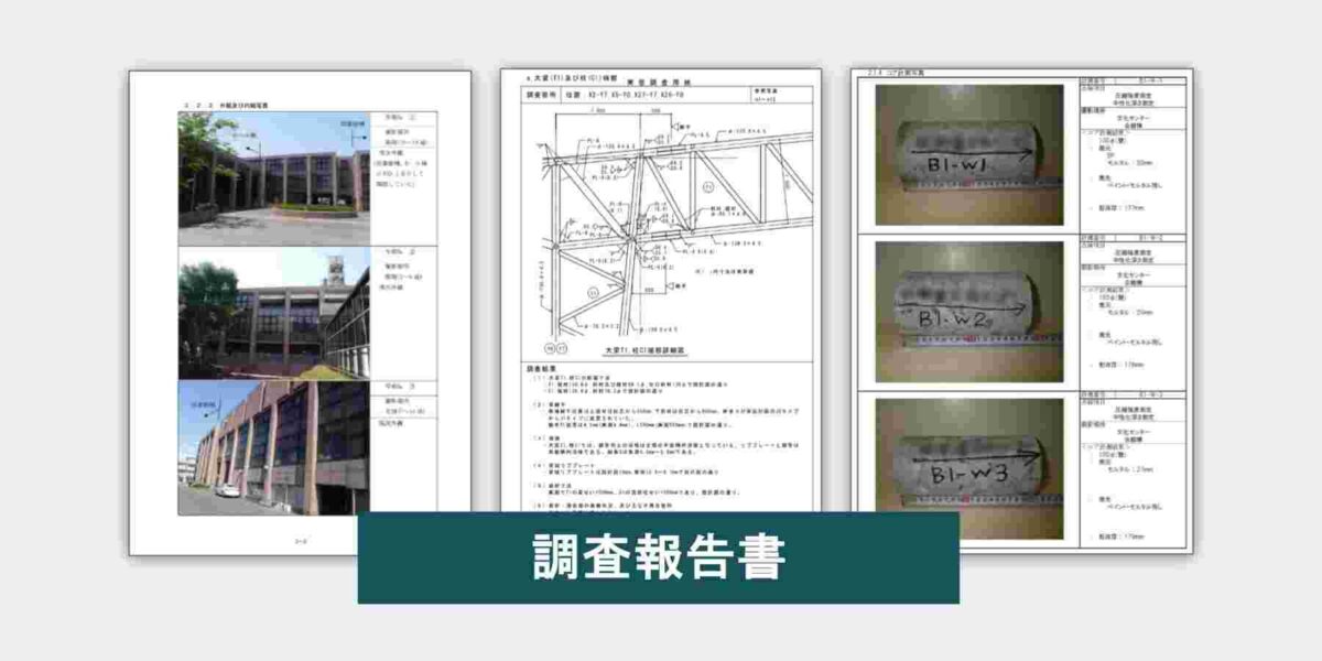 幹構造設計による調査報告書イメージ